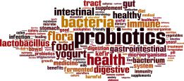 Probiotics word cloud concept. Vector illustration Probiotics word cloud concept. Vector illustration